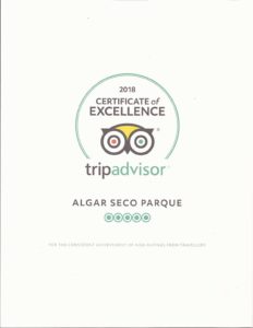 Tripadvisor 2018